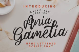 Ania Gamelia: A Sweet Script for Creative Projects
