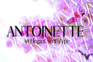 Antoinette: A Timeless Serif Font
