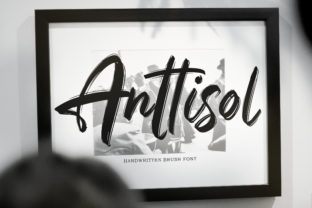 Anttisol: A Bold Font for Business